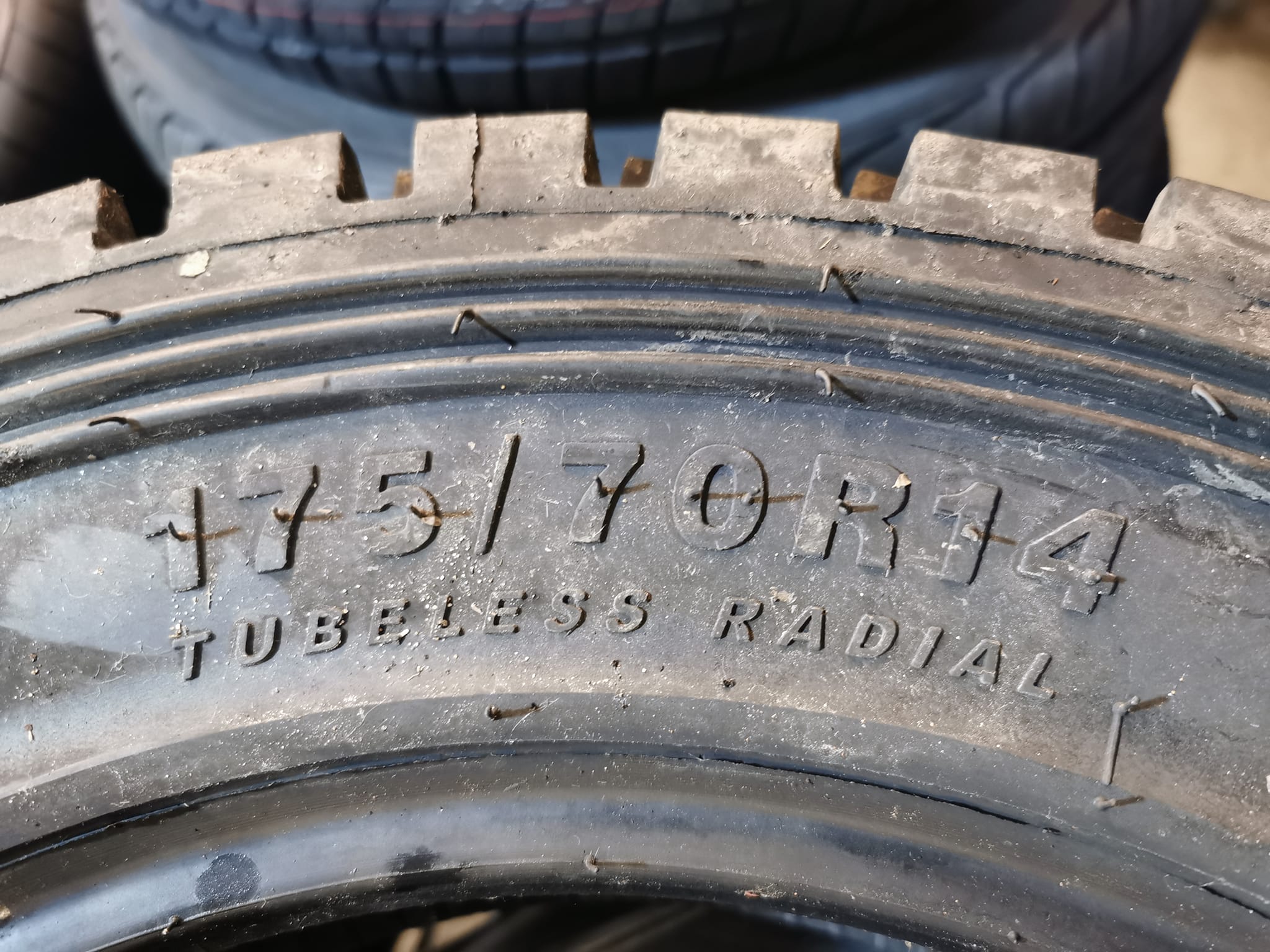 322487831 1912929815727024 3590542119688082025 n.jpg