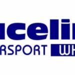 RACELINE MOTORSPORT WHEEL DECAL